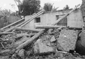 EarthquakeResistant p001b.jpg