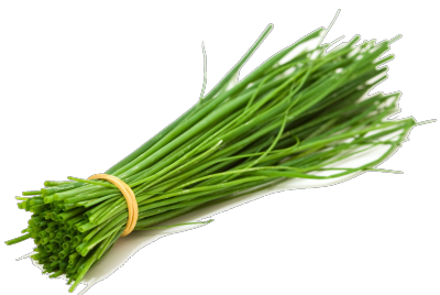 Chives.png