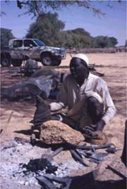 DonkeyPlough p001c.jpg