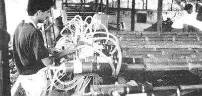 Biomass Roofing p24.jpg