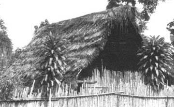 Biomass Roofing p11b.jpg