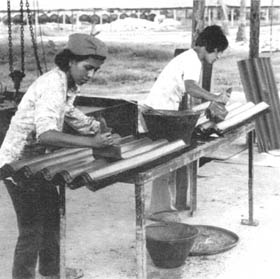 Biomass Roofing p18.jpg