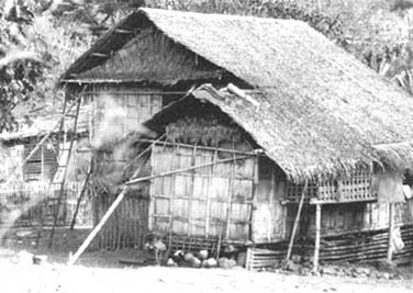 Biomass Roofing p09.jpg