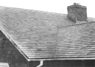 Biomass Roofing p16.jpg