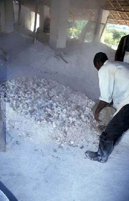 Datei:Alternatives to Portland Cement p4.jpg