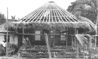 Biomass Roofing p11c.jpg