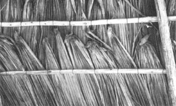 Biomass Roofing p10c.jpg