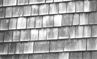 Biomass Roofing p15b.jpg