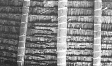 Biomass Roofing p10d.jpg