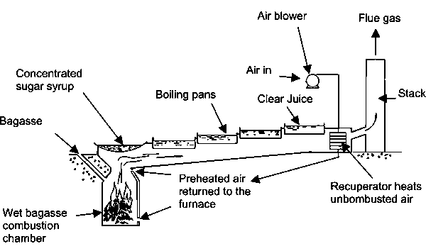 Brown Sugar p003.gif