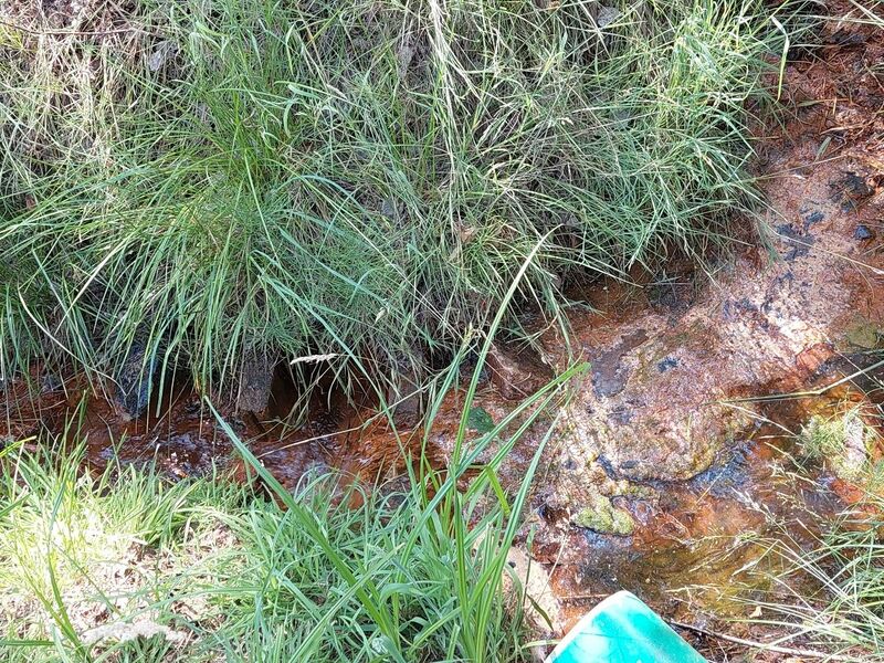 Datei:Erlebnisbad-Zahna004.jpg