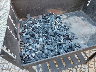 Grillen003.jpg
