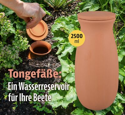 Olla-Bewaesserungshilfe-Kopp01.jpg