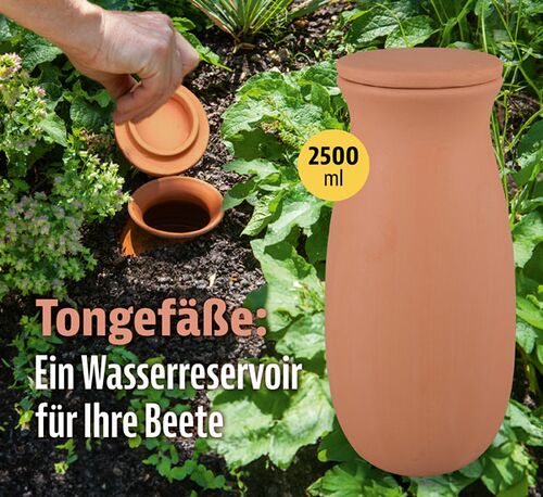 Olla-Bewaesserungshilfe-Kopp01.jpg