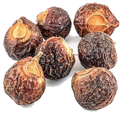 Waschnuss