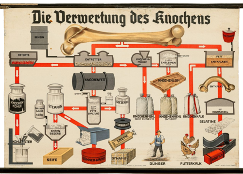 Der-Knochen-als-Rohstoff