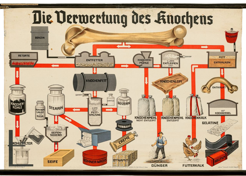 Datei:Der-Knochen-als-Rohstoff.png