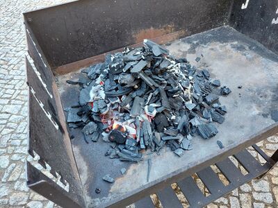 Grillen002.jpg