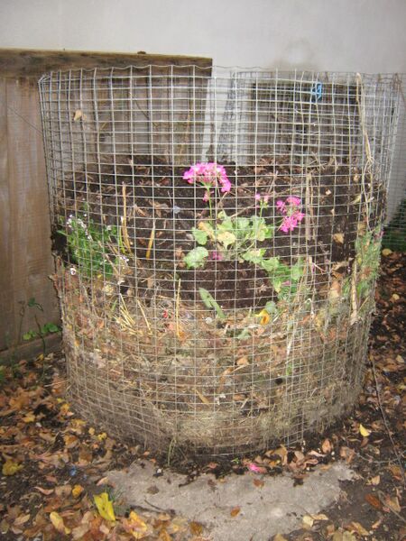 Datei:Kompostmiete Maschendraht.jpg