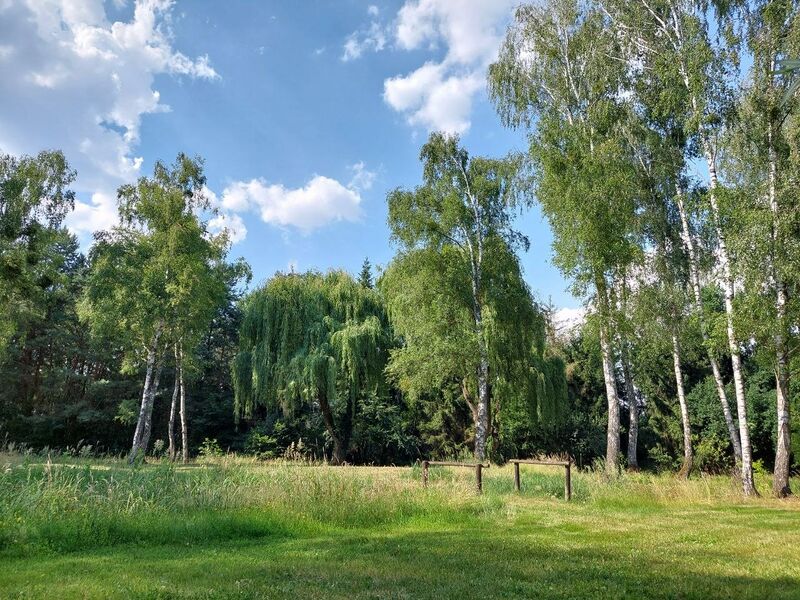 Datei:Erlebnisbad-Zahna001.jpg